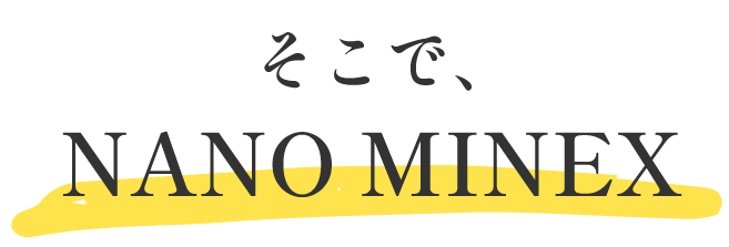 そこでナノミネックス！